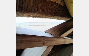 Vue sur la réserve.