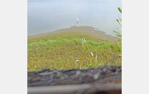 La réserve ornithologique.