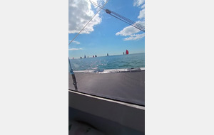 Vid 6