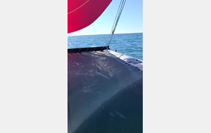 Vid 2