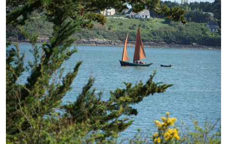 Baie de Quiberon - Golfe du Morbihan