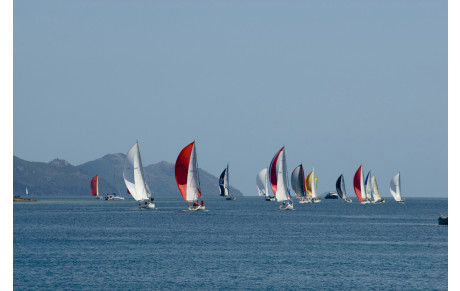 Les régatiers